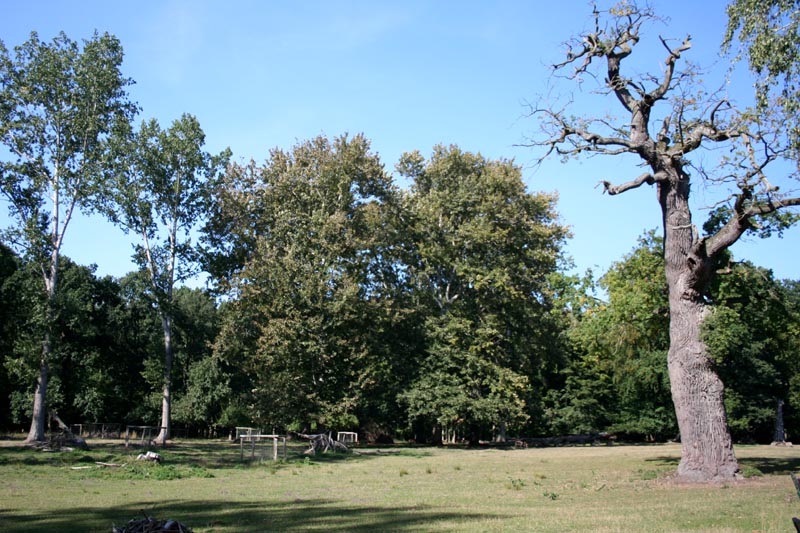 Killikus&reg; Fotographie